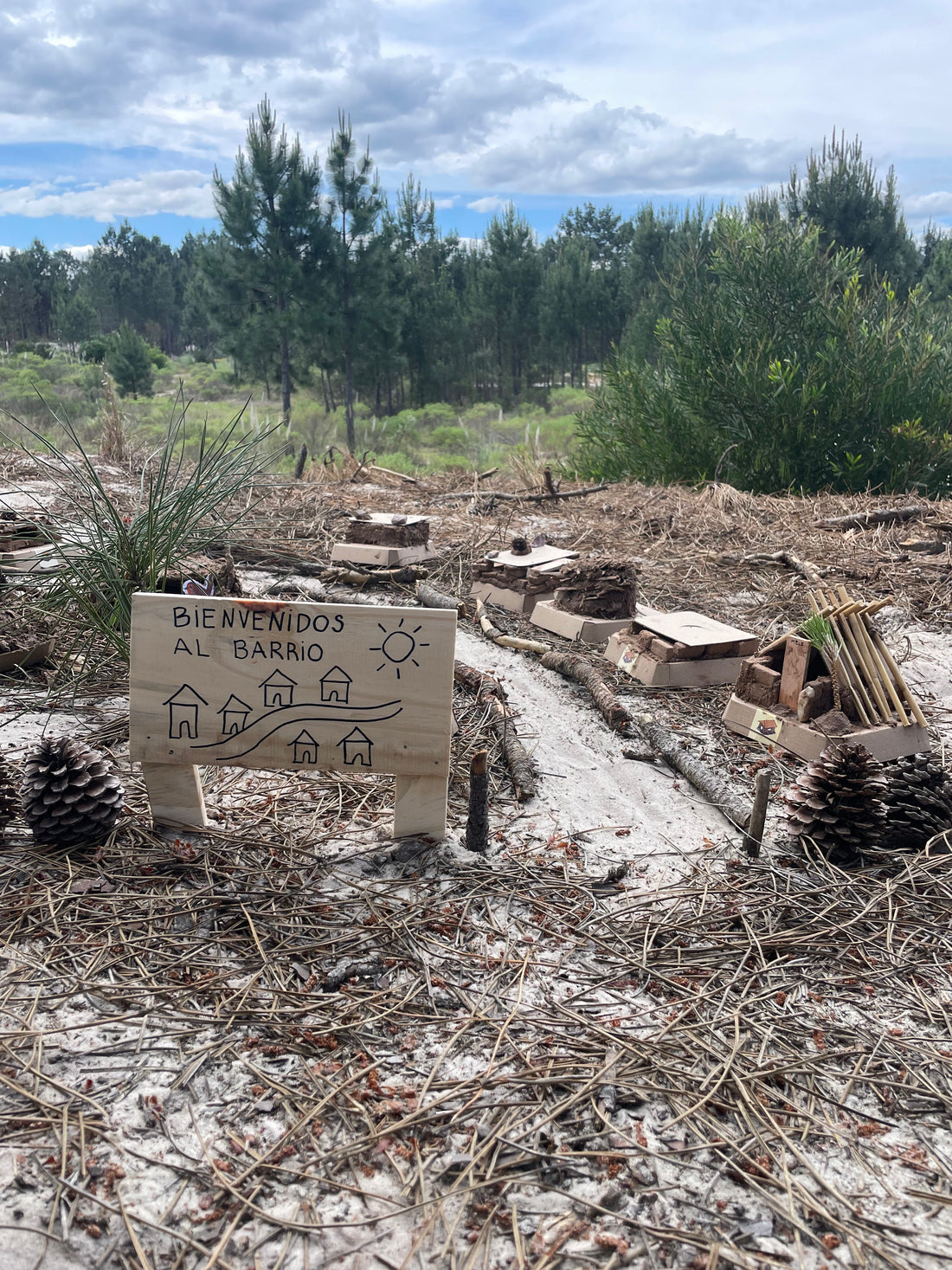 Bioferia Aldea El Pinar — Talleres abiertos durante toda la jornada